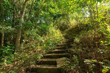 batangas-stairs-nature