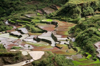 philippines-sagada-terraces