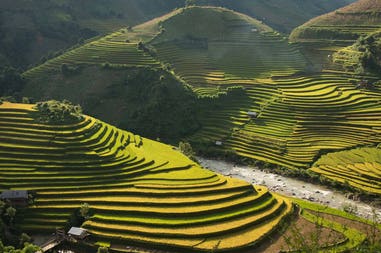philippines-rice-terraces