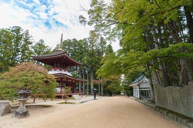 Japan Mount Koya