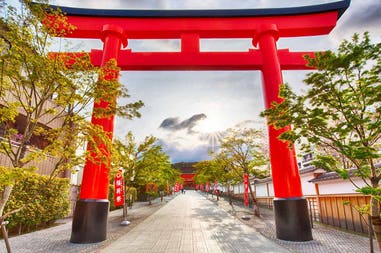 Giappone Kyoto Torii gates