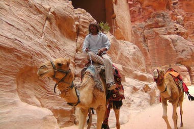 giordania-petra-cammello