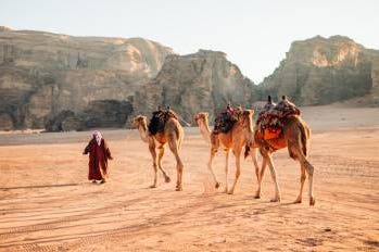 wadi-rum-camel-rid