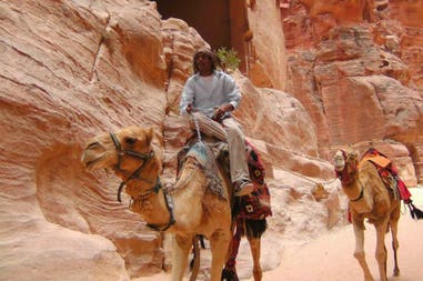 Jordan Petra camels
