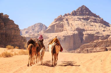 jordan-caravan-camels
