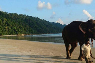 213244-601d08bce5e13