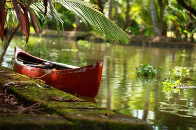A backwater of a river in Cochin, India