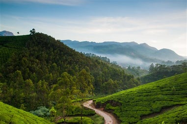The Munnar's mountains in India