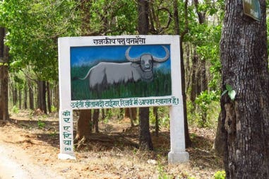 sita-nadi-sanctuary-raipur