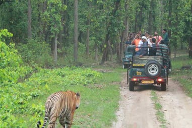 222855-61715683cf9bd