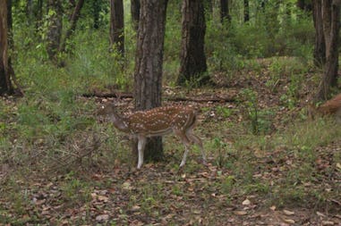 222855-61715683cf9be