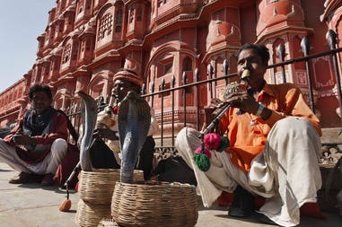india-jaipur-snake-charmers