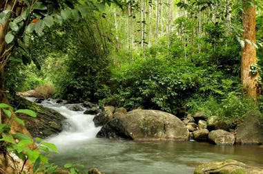 198912-5eb2efff1f525