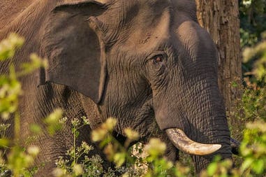 198912-5eb2efff1f528