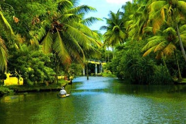 198912-5eb2efff1f52c