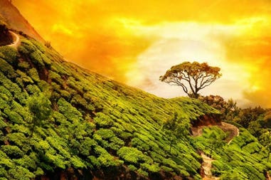 198912-5eb2efff1f52f