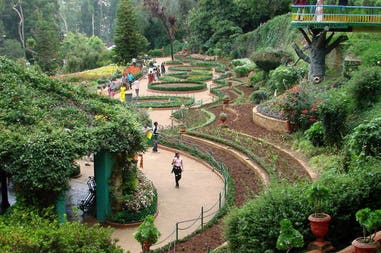 198912-5eb2efff1f532