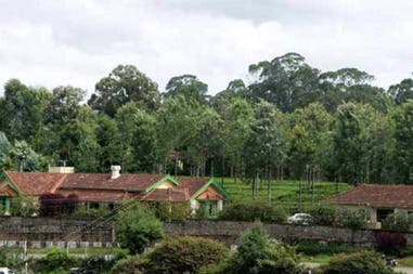 198912-5eb2efff1f535