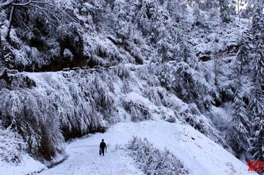 196847-5e7363ce1ca7d