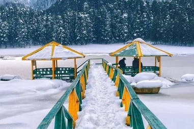 196737-5e70bae768ed9