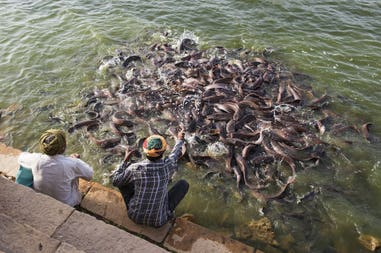 -fabrizio-ferracuti-fff5443