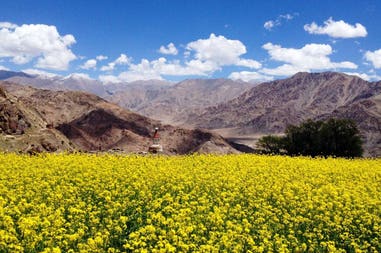 193290-5e6601810d9d9