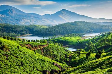 munnar2