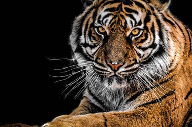 149822-5f464ed348603