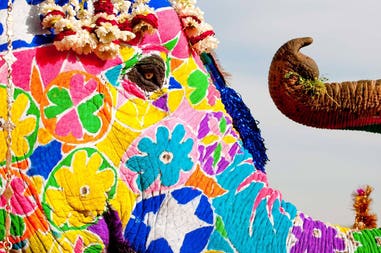 india-jaipur-colorful-elephant