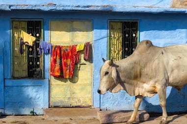 india-rajasthan-jodhpur-house
