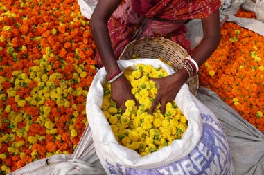 Flowers at one of the flower markets of India