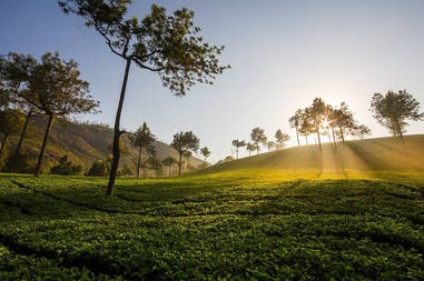 142198-5f43c7d53410b