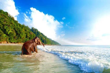 elephant-beach-jpg3