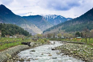 india-jammu-and-kashmir-lavender-park-in-pahalgam-valley
