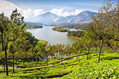 India Munnar