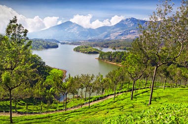 shutterstock-144076933