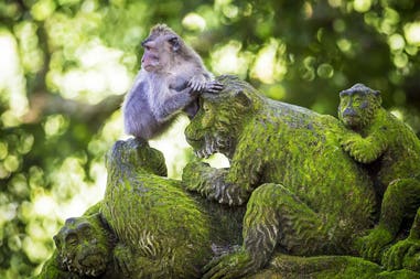 indonesia-ubud-sacred-monkey-forest