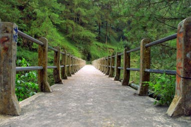 yogyakarta-yellow-times