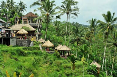 Bali Ubud rice terraces