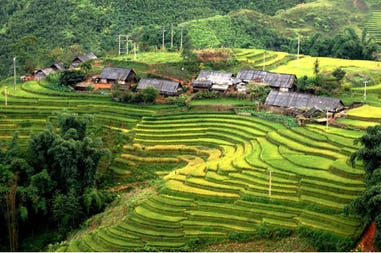 rice-terraces