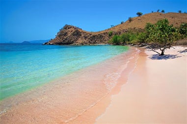 View of the pink beach on the island of Komodo in Indonesia