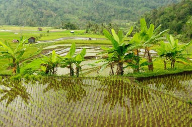 Indonesia Sumatra countryside