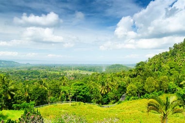 Green rice fields on the island of Bali in Indonesia
