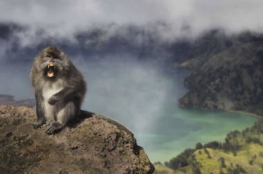 indonesia-mount-rinjani-lombok