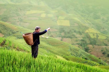 indonesia-farmer-rice-fields