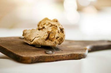 gallery-1491889272-tartufobianco