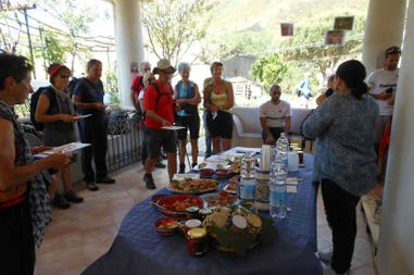 salina-isola-verde-2-