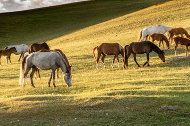 day-8-son-kol-by-philipp-schreistetter