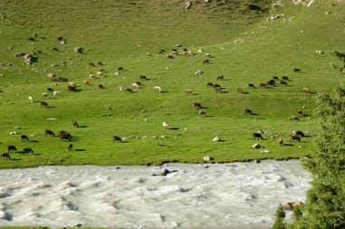 Kyrgyzstan river