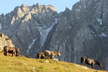 Kyrgyzstan trekking tour